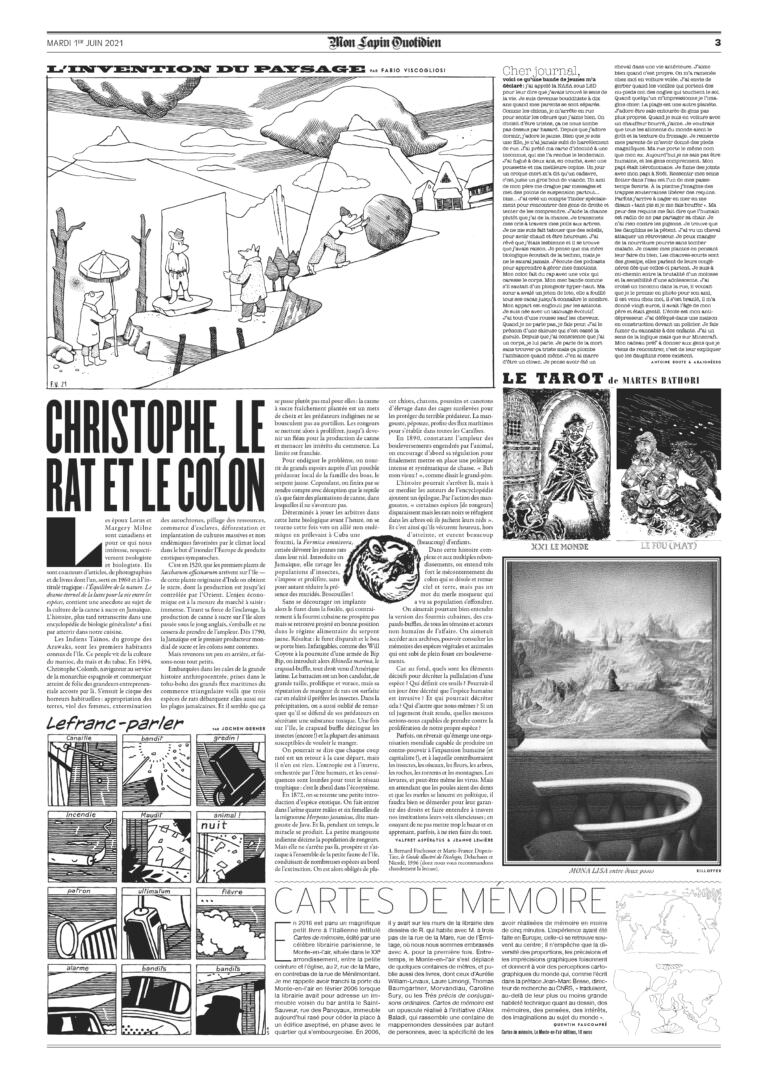 Mon Lapin Quotidien #17 – Image 3