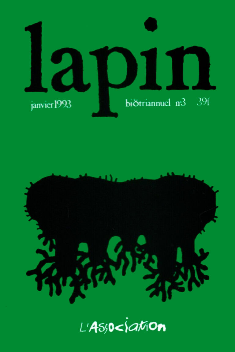 Lapin n° 3